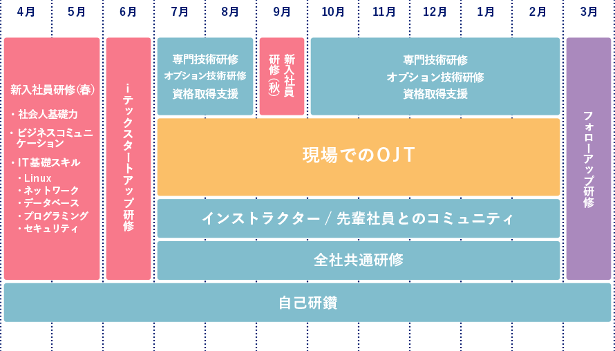 新卒1年目の教育スケジュール